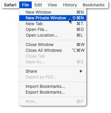 open a private window on Safari macOS to fix elementor changes not showing on wordpress website