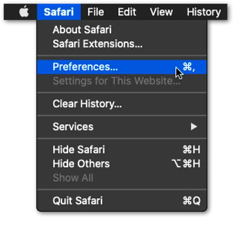delete web browser data, cache and cookies on Safari macOS to fix wordpress favicon or site icon not showing