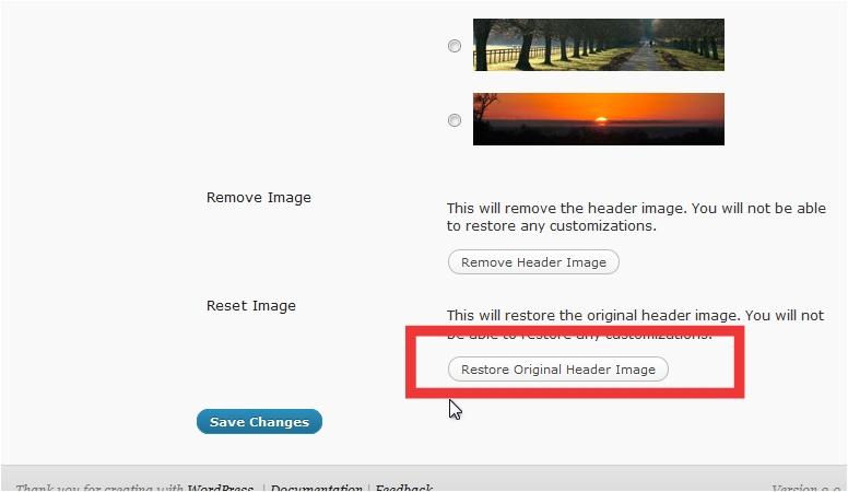 Use a Default WordPress Theme to Fix WordPress Featured Image or Post Thumbnail Not Showing